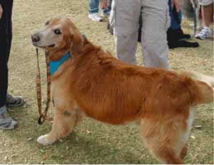 Spencer Screen shot 2012 05 20 at 11.50