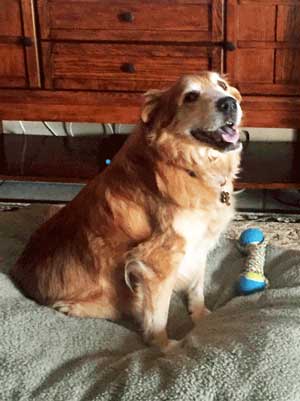 Teddy my little love bug