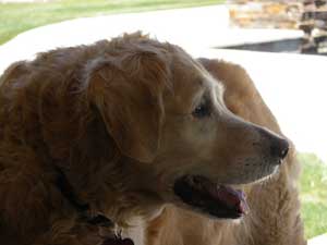 Thunder 2013 0413 114944 resized 300