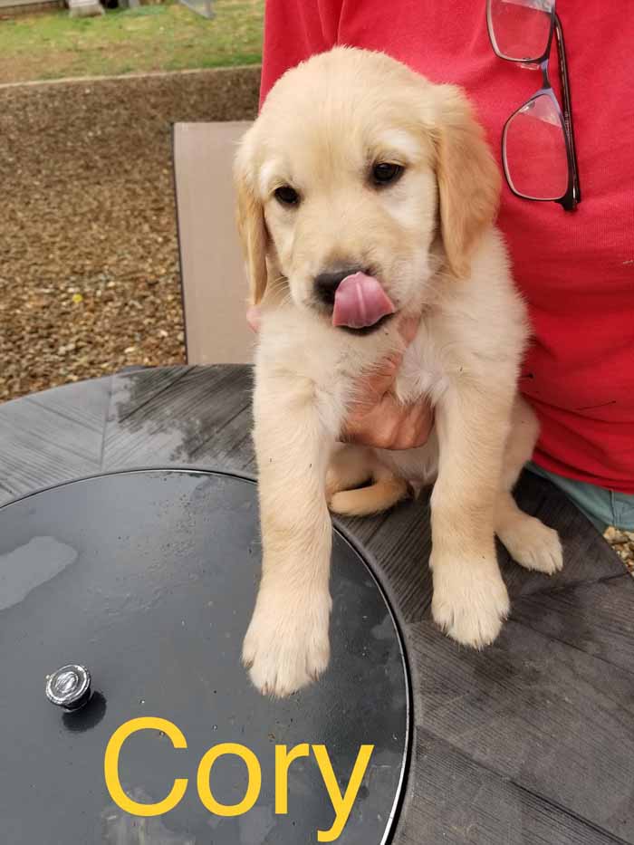 3_Cory.jpg