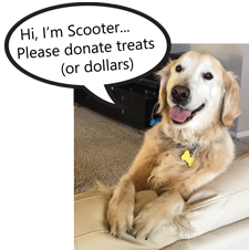 Scooter smile donate 225