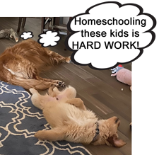 homeschool