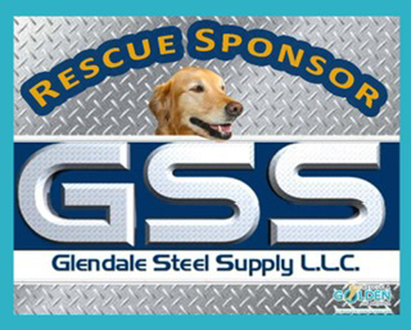 2022-GSS-Rescue-Sponsor-topgolf.png