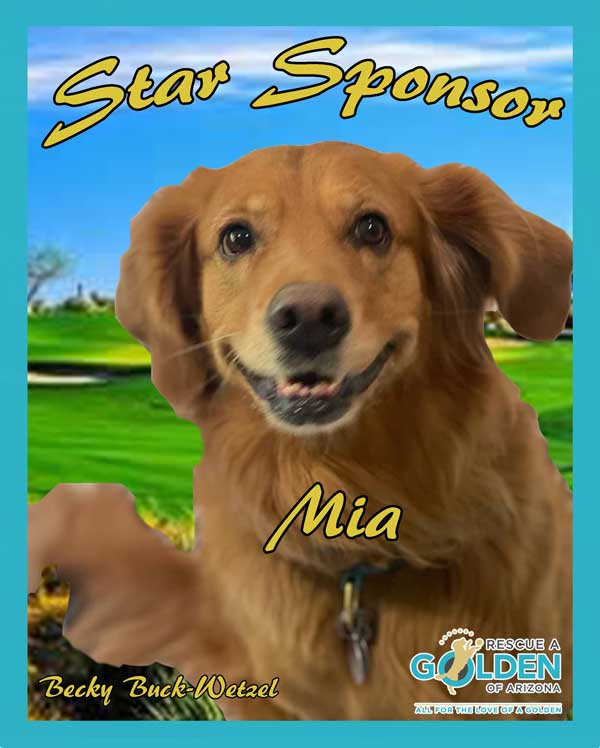 2022-Mia-Star-Sponsor.jpg