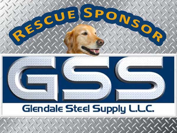 Glendale-Steel-Supply---Kozier.jpg