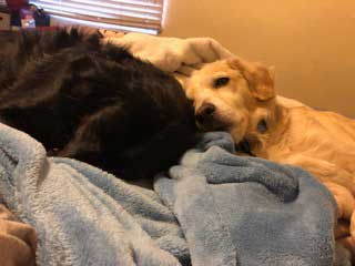 20 054 Monty and Pepper