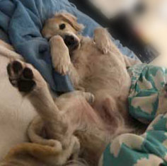 20-054 Sebas now Monty