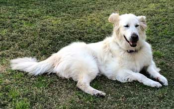 20 079 Talia IMG 2658