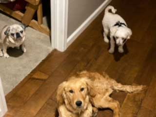 21 002 Liu Mao now Waylon 2