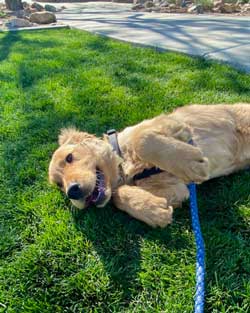 21 002 Liu Mao now Waylon