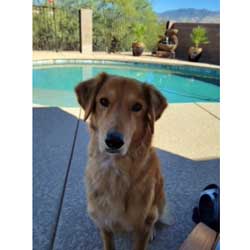 21-045 Star now known as Stella Bella