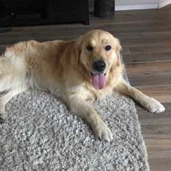 21-049 Gabe now known as Max