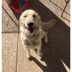 22 007 Murphy IMG 4230