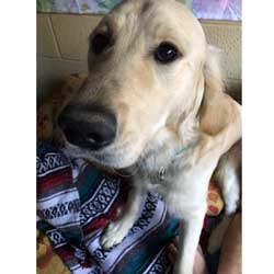 22 007 Murphy IMG 4292