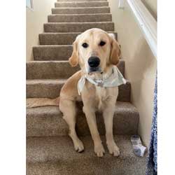 22 007 Murphy IMG 6203