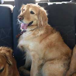 22-009 Charley now Charlie