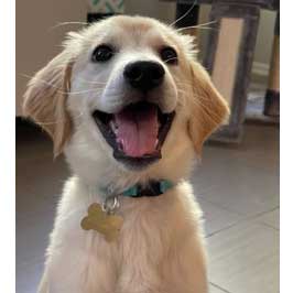 22-021 Indy now Millie