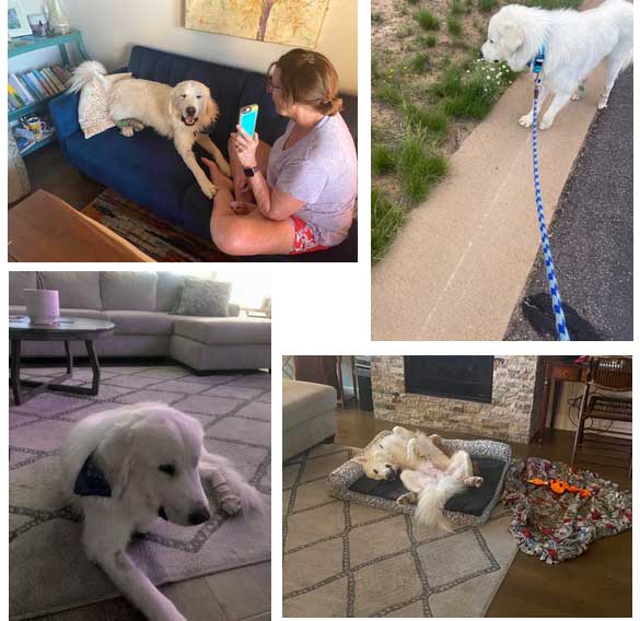 22 042 Harry now Archie1