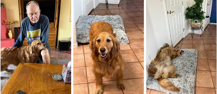 22 059 Raya now Gracie1