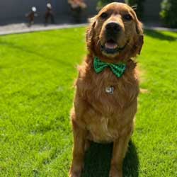 22-065 Cole now Clyde