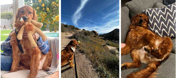 22 065 Cole now Clyde1