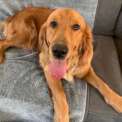 23-016 Cleveland now Meg