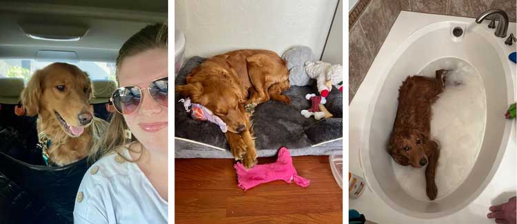 23 022 Celina now Rose1