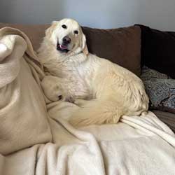 23-024 Alfalfa now Charlie