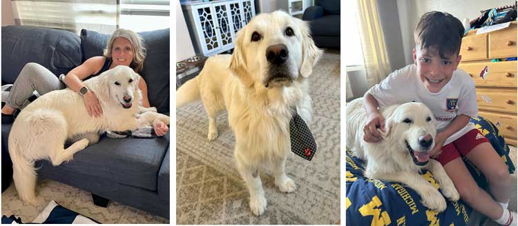 23 024 Alfalfa now Charlie1